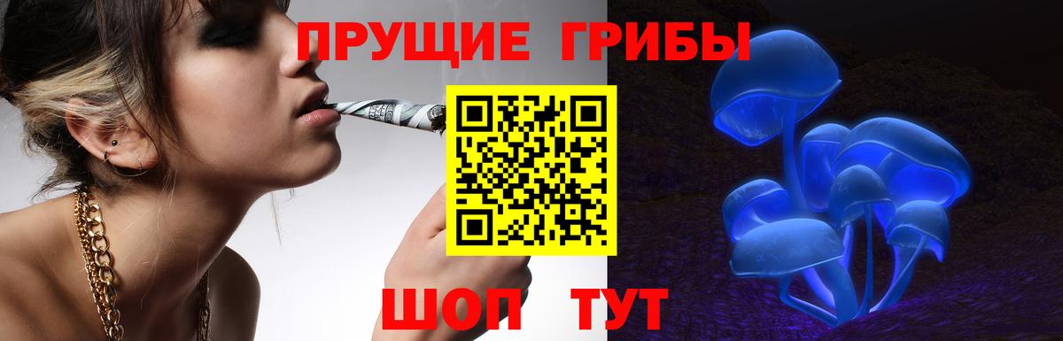 Галлюциногенные грибы мухоморы Салехард